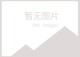 江门晓夏咨询有限公司